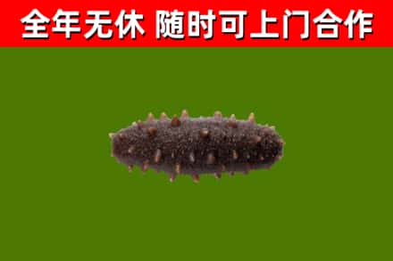 镇安烟酒回收干海参.jpg